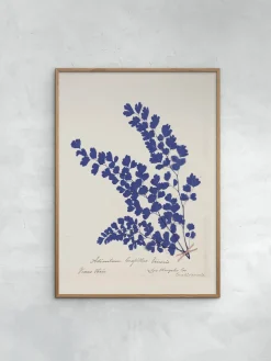 Pósters|Jarrones>POSTER & FRAME Póster enmarcado Botanical Fern III Blue