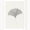 Outlet Póster Grinkgo Leaf Pósters|Jarrones