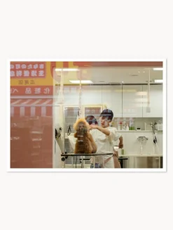 Online Póster Salon Pósters|Jarrones