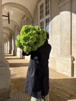 Jarrones|Flores Artificiales>Botané Ramo de flores artificiales Hydrangea Tonos verdes