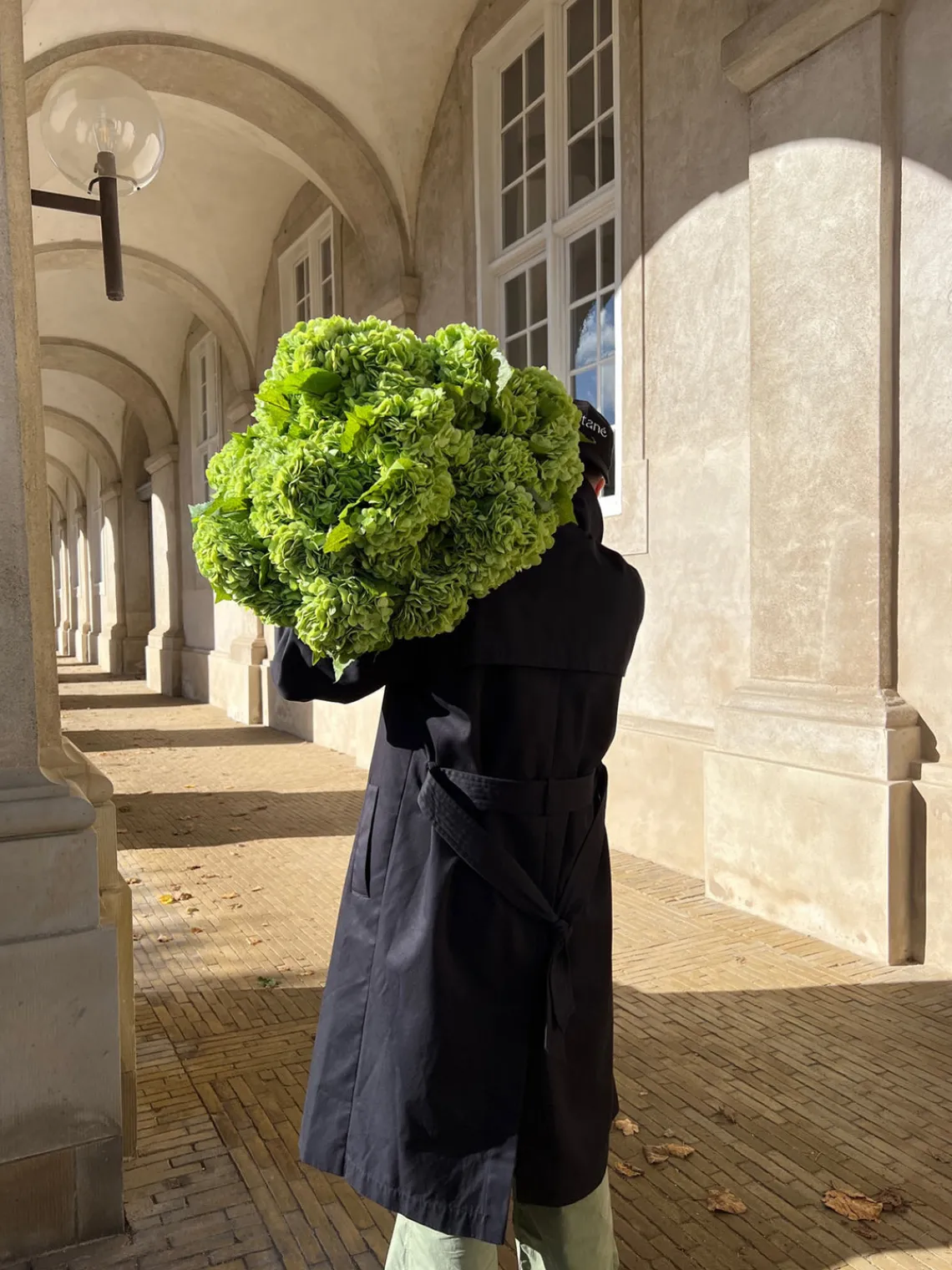 Jarrones|Flores Artificiales>Botané Ramo de flores artificiales Hydrangea Tonos verdes