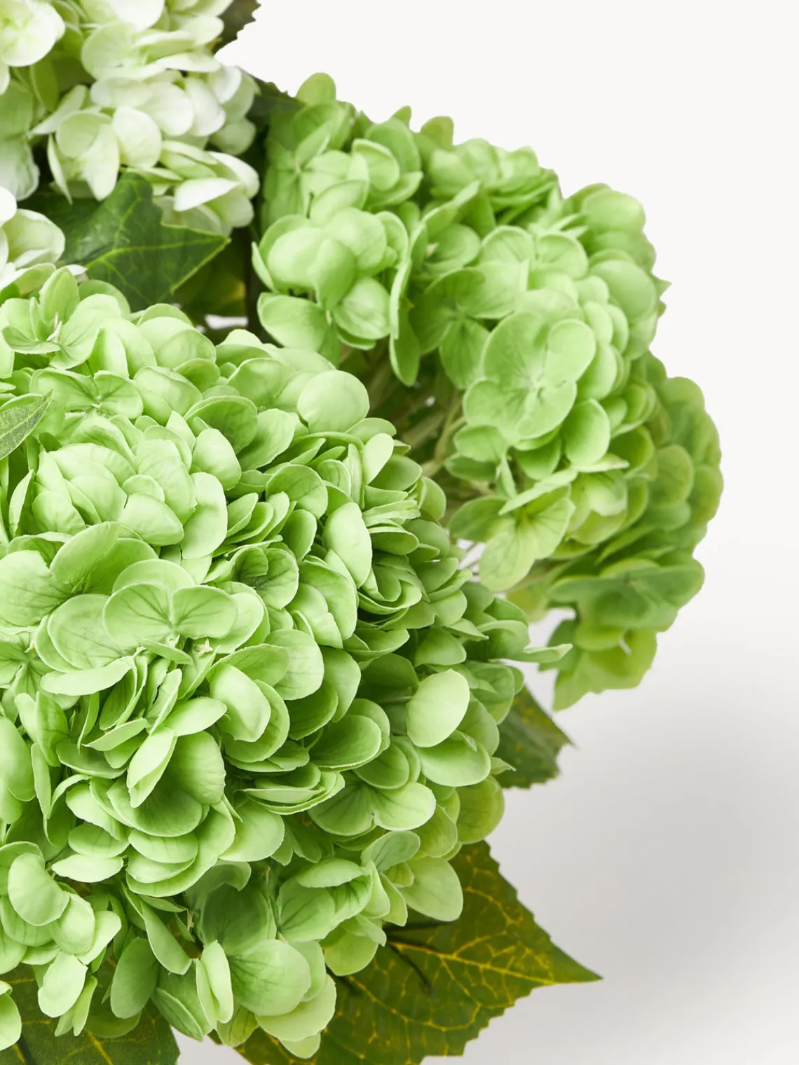 Jarrones|Flores Artificiales>Botané Ramo de flores artificiales Hydrangea Tonos verdes