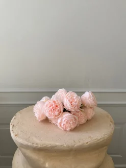 Jarrones|Flores Artificiales>Botané Ramo de flores artificiales Mini Peony Rosa claro, verde