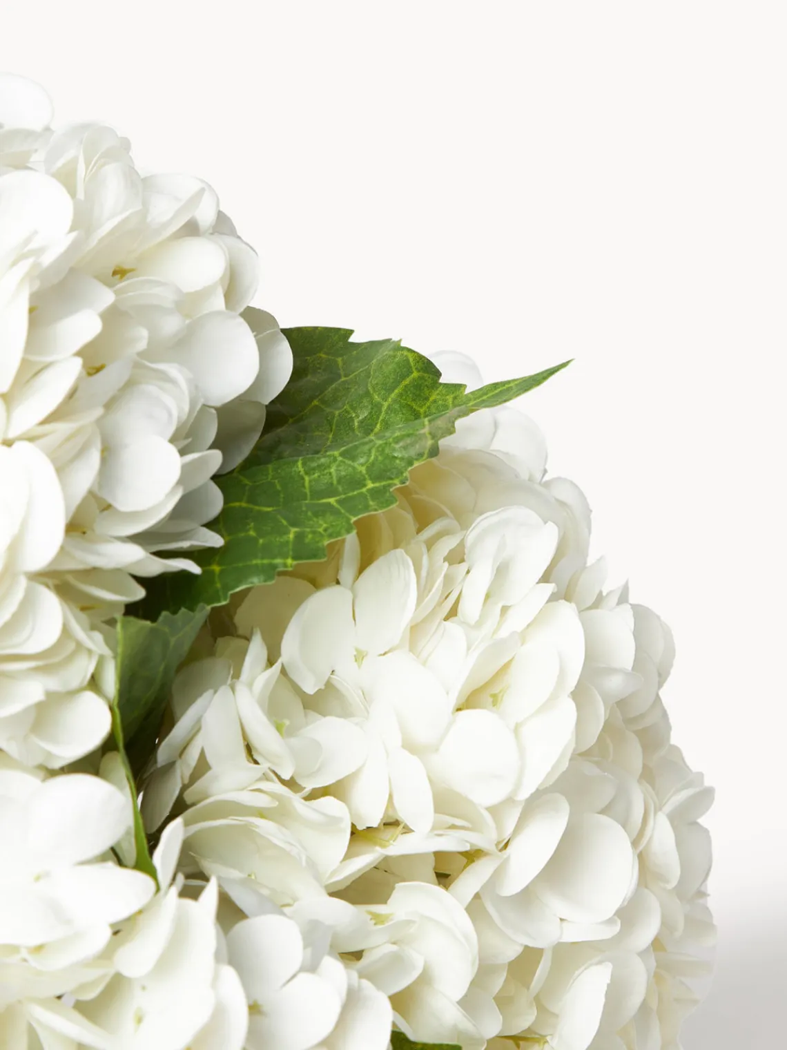 Jarrones|Flores Artificiales>Botané Ramo de flores artificiales Hydrangea Blanco, verde