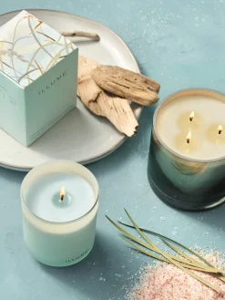 Velas Perfumadas|Jarrones>Bloomingville Recambio de vela perfumada Refill Jazmín y brisa marino salado