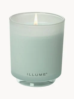 Velas Perfumadas|Jarrones><noscript><img width=