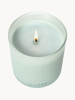 Velas Perfumadas|Jarrones><noscript><img width=
