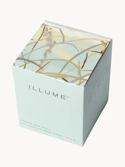 Velas Perfumadas|Jarrones><noscript><img width=