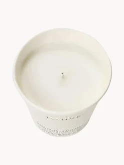 Velas Perfumadas|Jarrones>Bloomingville Recambio de vela perfumada Refill Agujas de pino, canela y musgo de roble