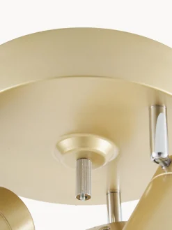 Plafones|Lámparas De Techo><noscript><img width=