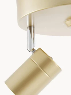 Plafones|Lámparas De Techo><noscript><img width=