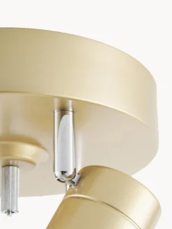 Plafones|Lámparas De Techo><noscript><img width=