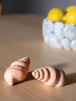 Clearance Salero y pimentero artesanales de dolomita Shell, 2 uds. Molinillos De Especias|Molinillos De Especias