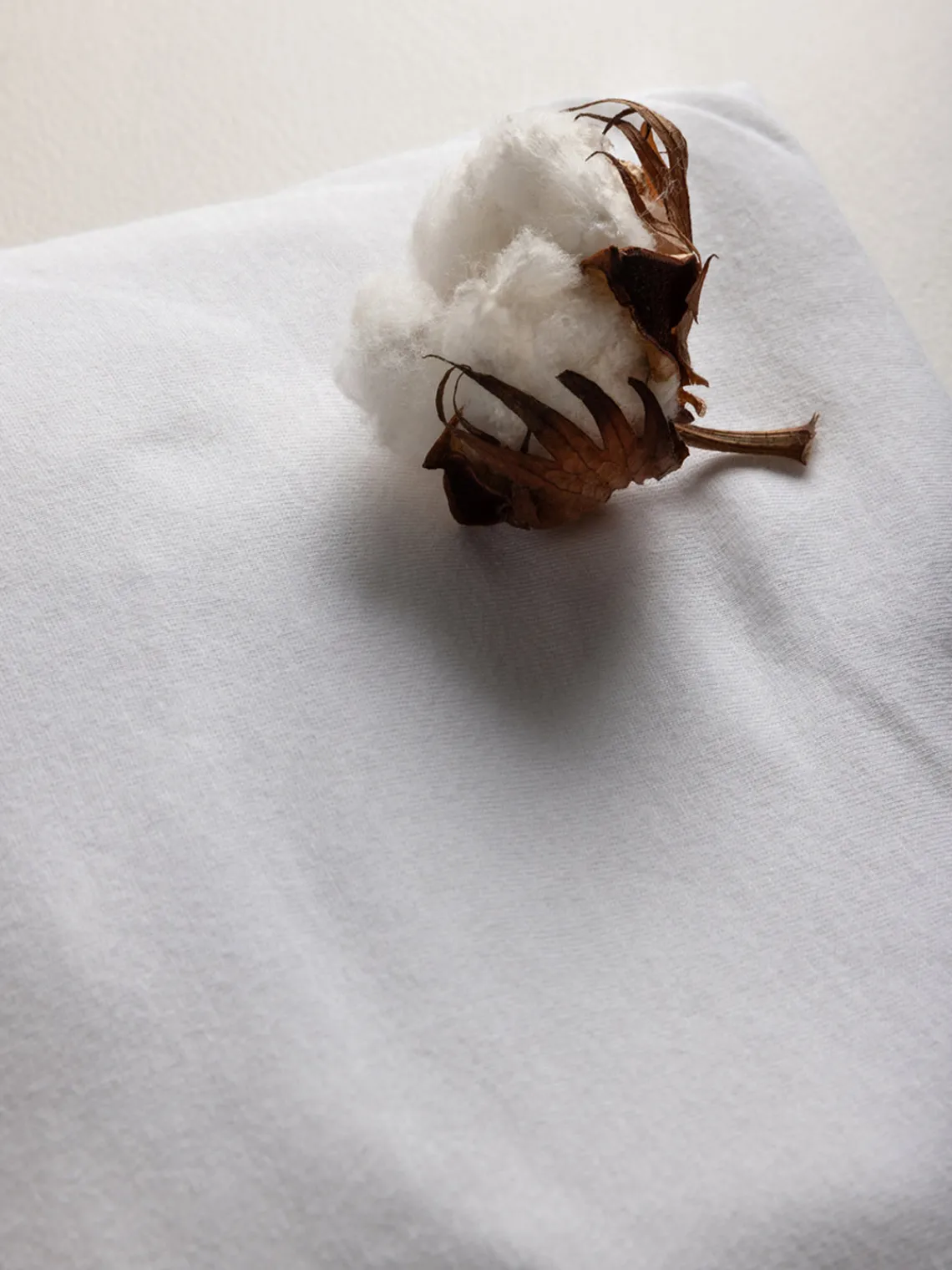 Decoración Infantil|Ropa De Cama Infantil>Sebra Sábana bajera de algodón ecológico Baby Blanco