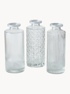 Jarrones|Jarrones> Set de jarrones pequeños de vidrio Adore, 3 uds. Transparente, plateado