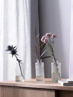 Jarrones|Jarrones></noscript> Set de jarrones pequeños de vidrio Adore, 3 uds. Transparente, plateado