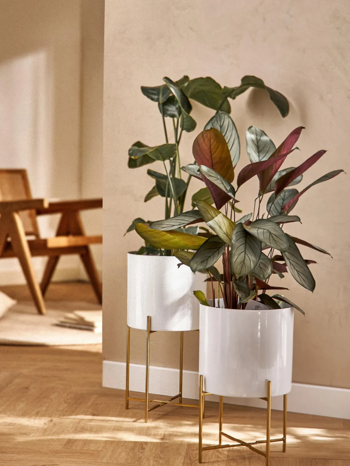 Maceteros|Jarrones>Westwing Collection Set de maceteros de metal Mina, 2 uds. Blanco, dorado