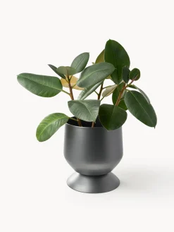 Maceteros|Jarrones><noscript><img width=