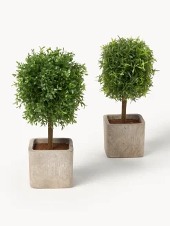 Clearance Set de árboles artificiales artesanales Moni, 2 uds. Flores Artificiales|Jarrones