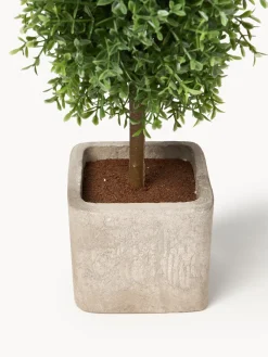 Clearance Set de árboles artificiales artesanales Moni, 2 uds. Flores Artificiales|Jarrones