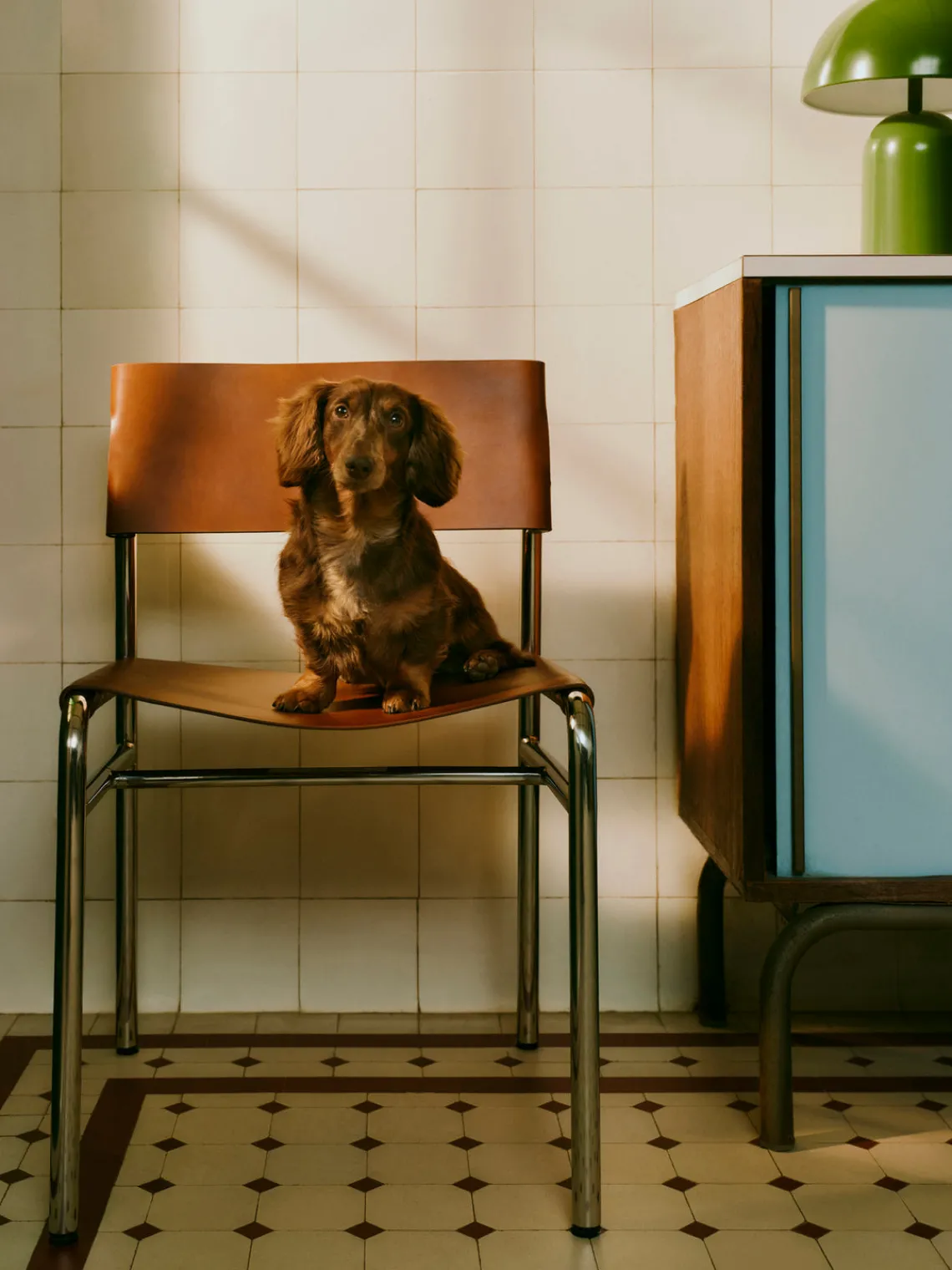 Outlet Silla de cuero Jordan Sillas