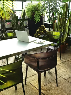 Sillas De Jardín|Sillas De Jardí­N>Kartell Sillas para exterior Papyrus (2 uds.) Marrón oscuro transparente