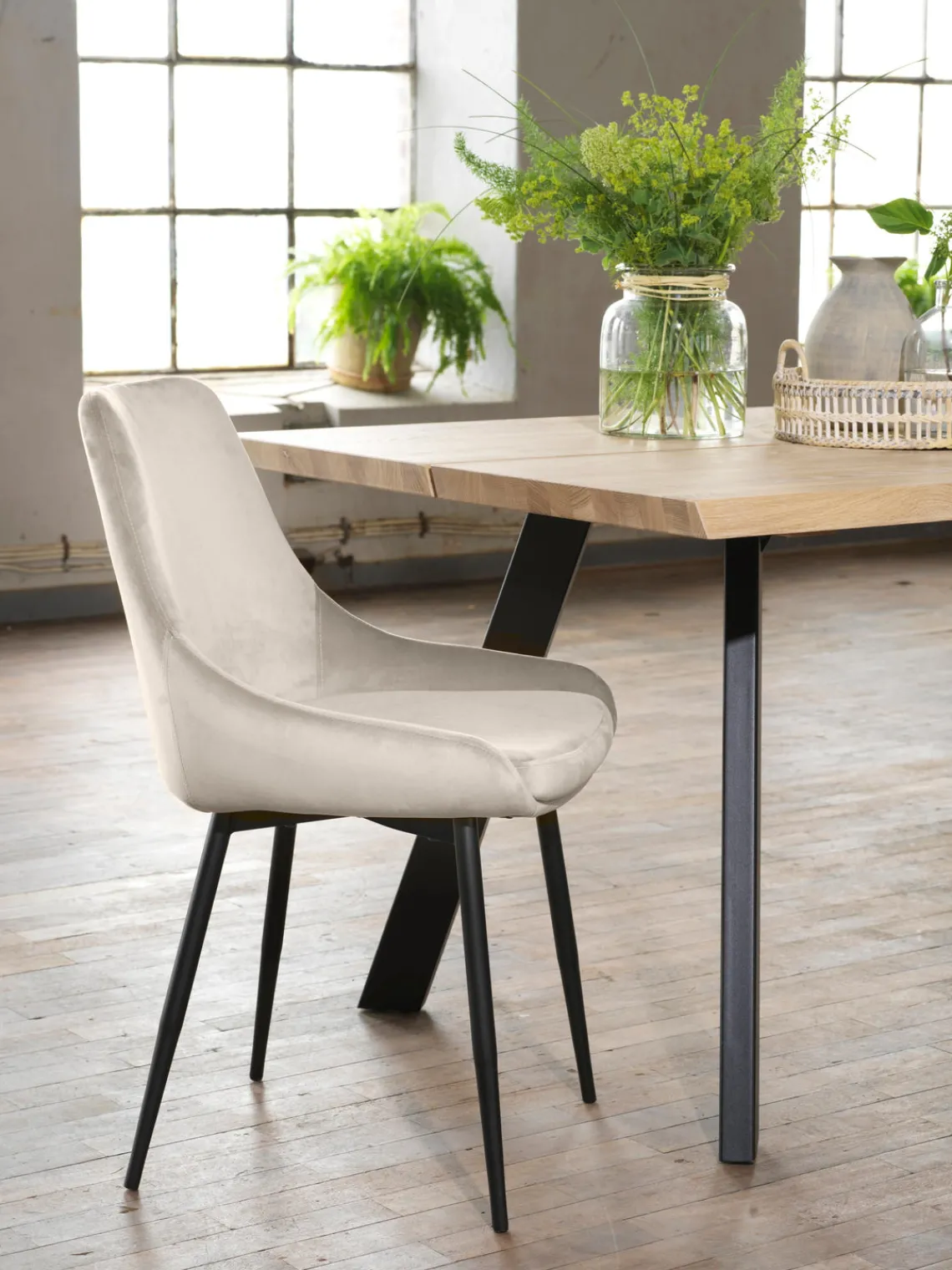 Clearance Sillas tapizadas en terciopelo Sierra, 2 uds. Sillas