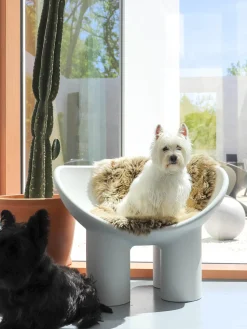 Best Sillón de plástico Roly Poly Sillones Pequeños|Sillones