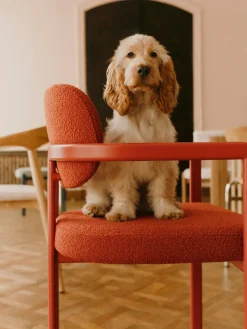 Sillas Con Reposabrazos|Sillas>Westwing Collection Sillón en tejido bouclé Adrien Bouclé coral, rojo coral