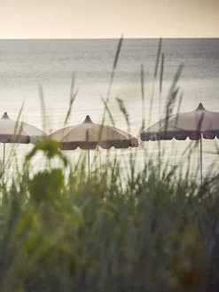 New Sombrilla Pagoda, Ø 200 cm Sombrillas|Sombrillas