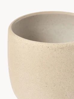 Tazas Y Mugs|Vajillas Completas></noscript>Westwing Collection Tazas Ginger, 4 uds. Beige claro, blanco Off White