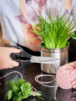 Online Tijeras de cocina Utensilios De Cocina