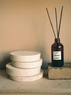 Online Varitas perfumadas Coriander (eucalipto, grosella negra) Ambientadores|Jarrones