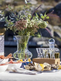 Copas De Cóctel|Vajillas Completas>Sagaform Vasos chupito Semon, 6 uds., con caja de madera