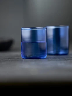 Copas De Cóctel|Vajillas Completas>Lyngby Glas Vasos de chupito de vidrio de borosilicato Torino, 2 uds.