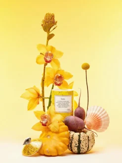 Clearance Vela perfumada artesanal Leo (rosa, sándalo y cedro) Velas Perfumadas|Jarrones