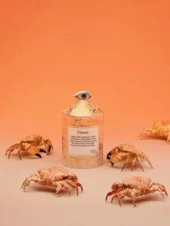 Velas Perfumadas|Jarrones></noscript>Maison La Bougie Vela perfumada artesanal Cancer (bergamota y vetiver) Cáncer: bergamota y vetiver