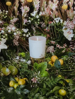 Velas Perfumadas|Jarrones>Trudon Vela perfumada artesanal Positano Jazmín, magnolia, azahar