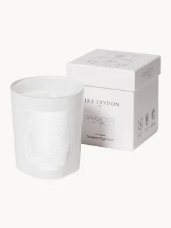 Velas Perfumadas|Jarrones></noscript>Trudon Vela perfumada artesanal Positano Jazmín, magnolia, azahar