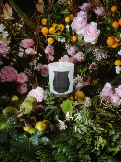 Discount Vela perfumada artesanal Rose Poivrée (ámbar, palmarosa, rosa) Velas Perfumadas|Jarrones