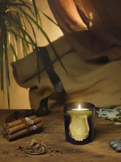 Clearance Vela perfumada artesanal Ernesto (clavo, ládano, madera de roble, pachulí) Velas Perfumadas|Jarrones