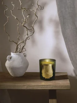 Clearance Vela perfumada artesanal Ernesto (clavo, ládano, madera de roble, pachulí) Velas Perfumadas|Jarrones