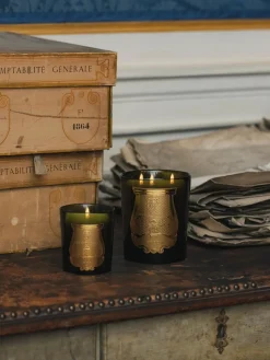 Online Vela perfumada artesanal de tres mechas Cyrnos (higo negro, cedro, lavanda, pino) Velas Perfumadas|Jarrones