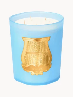 Velas Perfumadas|Jarrones>Trudon Vela perfumada artesanal de cinco mechas Versailles (romero, tilo, tuberosa) Aceite de romero natural, lima, absoluto de nardo