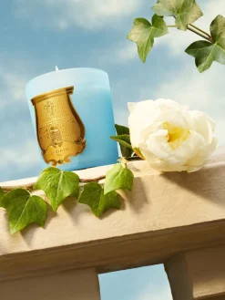 Velas Perfumadas|Jarrones>Trudon Vela perfumada artesanal de cinco mechas Versailles (romero, tilo, tuberosa) Aceite de romero natural, lima, absoluto de nardo