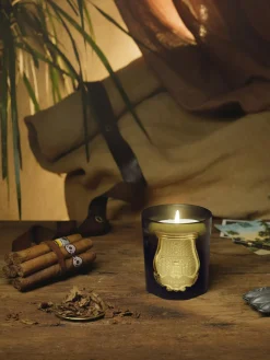 Velas Perfumadas|Jarrones>Trudon Vela perfumada artesanal Josephine (camelia china, jazmín egipcio & rosa turca) Camelia china, jazmín egipcio, rosa turca