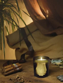 Clearance Vela perfumada artesanal Cyrnos (higo negro, madera de cedro, lavanda & pino) Velas Perfumadas|Jarrones