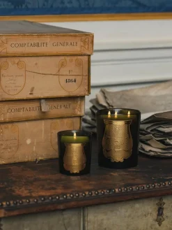 Velas Perfumadas|Jarrones>Trudon Vela perfumada artesanal de tres mechas Ernesto (clavo, ládano, madera de roble y pachulí) Clavo, ládano, roble, pachulí