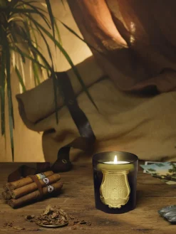 Velas Perfumadas|Jarrones>Trudon Vela perfumada artesanal Solis Rex Corteza de abeto