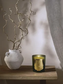 Velas Perfumadas|Jarrones></noscript>Trudon Vela perfumada artesanal Solis Rex Corteza de abeto